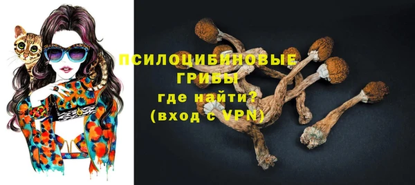 mdpv Горнозаводск
