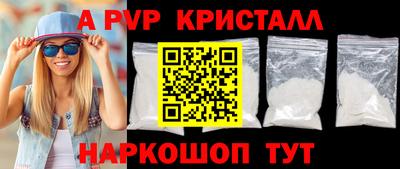 ECSTASY Гай