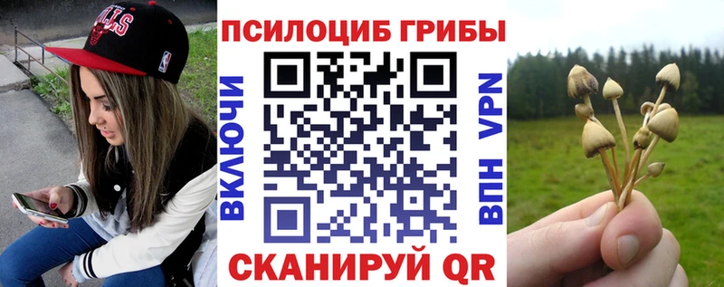 Галлюциногенные грибы прущие грибы  Железногорск 