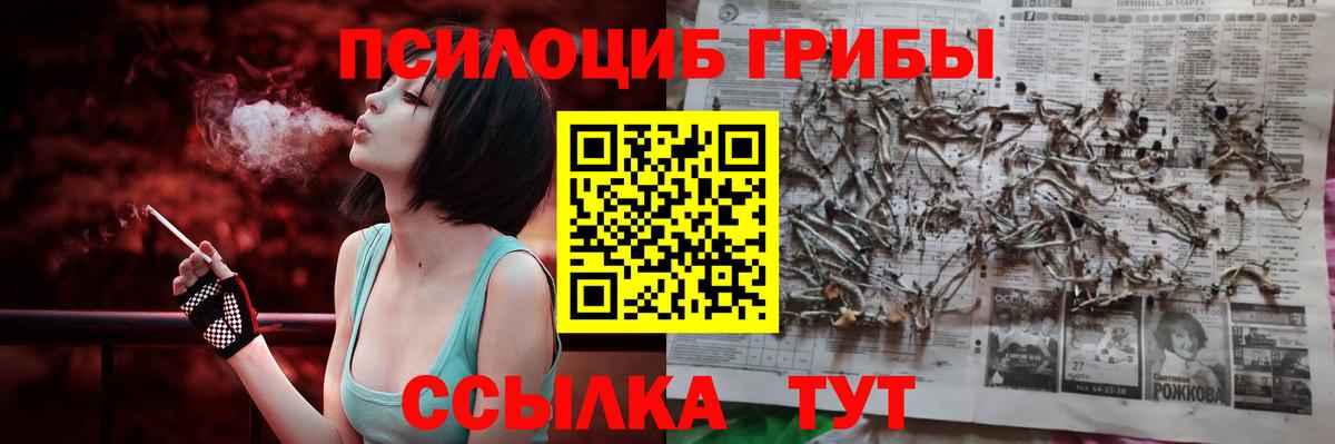 Железногорск  Галлюциногенные грибы Cubensis  где найти   Вход с VPN 