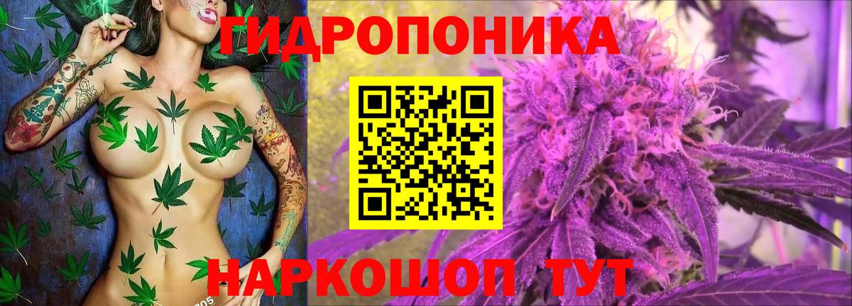 Шишки марихуана VHQ  Вход с VPN  Железногорск  Бошки марихуана VHQ 